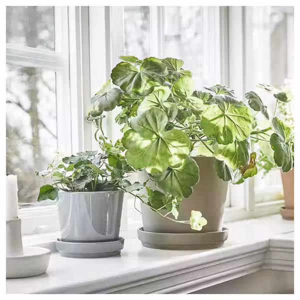 KLARBÄR КЛАРБЭР Горшок цветочный с поддоном - фото 7