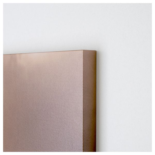 Картина ПРЕМИЭР, Водоросли (200x140 см) - схема-чертеж с размерами