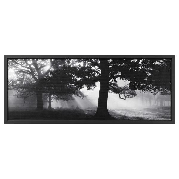Картина с рамой БЬЁРКСТА, Лесная поляна II, черный (140x56 см) - фото 1