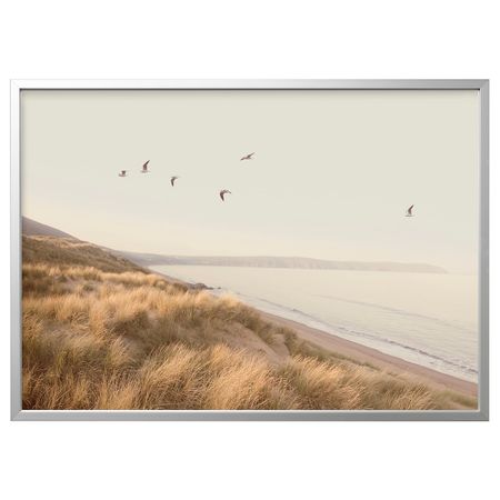 Картина с рамой, Птицы над берегом/цвет алюминия 140x100 см IKEA BJÖRKSTA БЬЁРКСТА 994.167.88