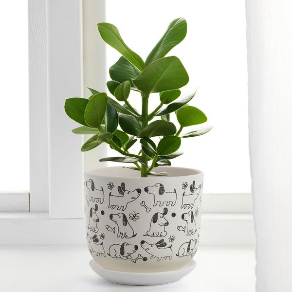 Горшок цветочный, белый/собака 15 см IKEA RUNDMYNTA РУНДМИНТА 105.170.31 - фото 2