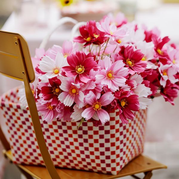 SMYCKA Искусственный букет - д/дома/улицы/космея розовый 50 см - схема-чертеж с размерами