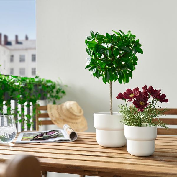 IKEA, дополнительный ракурс