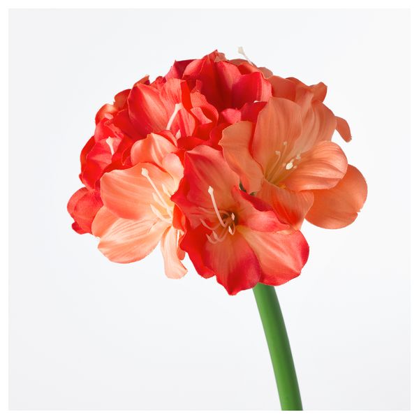 Цветок искусственный СМИККА, Кливия киноварная, оранжевый (73 см) - схема-чертеж с размерами