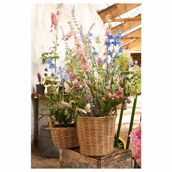 FLODBJÖRK ФЛОДБЬЁРК Кашпо - фото 4