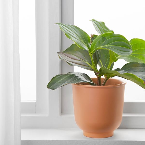 Кашпо, красно-коричневый 15 см IKEA БРИТЭРТ 903.856.30 - фото 2