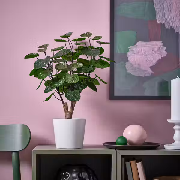 FEJKA Искусственное растение в горшке - д/дома/улицы Аралия 12 см - фото 2