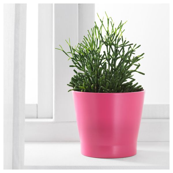 Кашпо ПАПАЙА, темно-розовый - фото 2