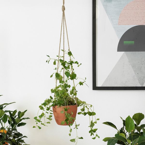 Кашпо подвесное, терракота ручная работа 9 см IKEA БОТАНИСК 504.665.34 - фото 2