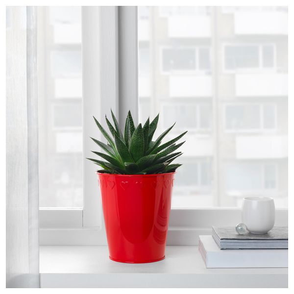 Кашпо ВИНТЕР 2018, красный (15 см) - фото 3