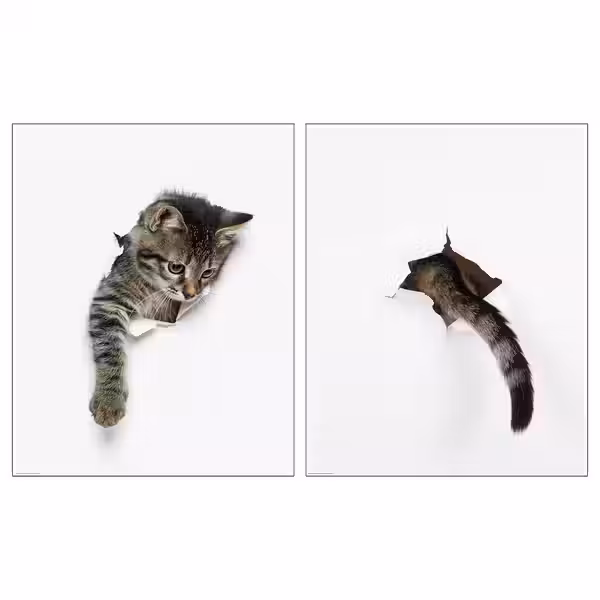 BILD Постер - Появление кота 40x50 см - фото 1