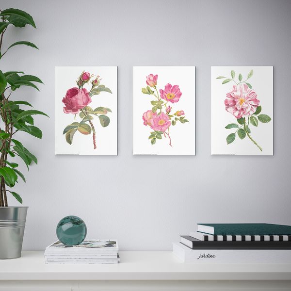 Набор постеров,3шт, Цветы 21x30 см IKEA EDELVIK ЭДЕЛВИК 804.901.51 - схема-чертеж с размерами