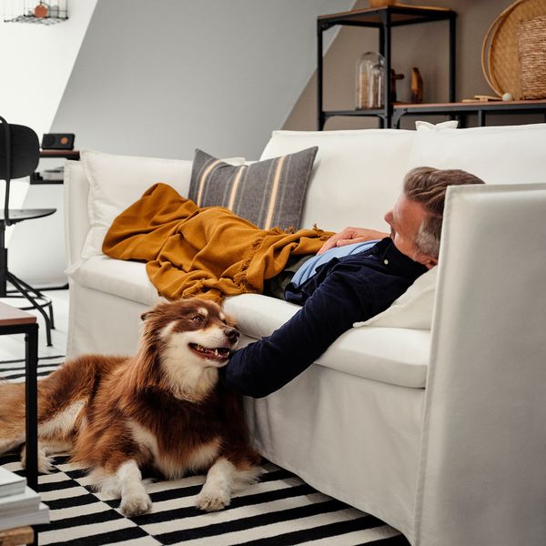 3-местный диван, Blekinge белый IKEA BACKSÄLEN ЛЕН 193.931.54 - фото 4