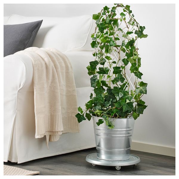 Шпалера БАРСЭ, д/дома/улицы, белый (31x79 см) - схема-чертеж с размерами