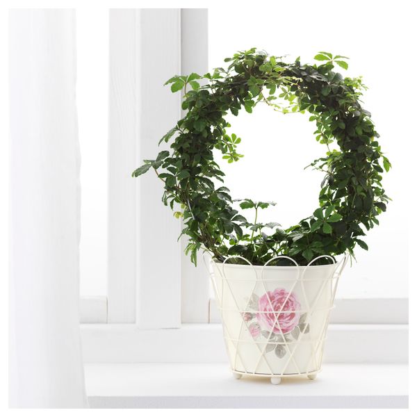 Кашпо РОЗЕПЕППАР, белый с оттенком (12 см) - фото 2