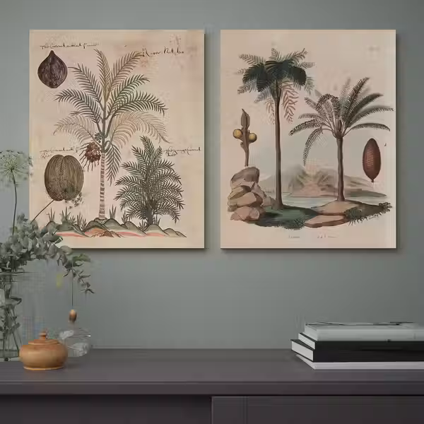 PJÄTTERYD Картина - Ветка папоротника 40x50 см - фото 2