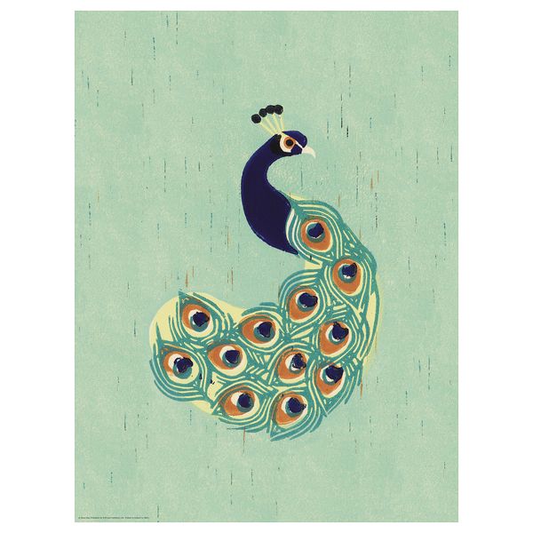 Постер, Павлин, 30x40 см IKEA DRÖMBILD ДРЁМБИЛЬД 204.361.00 - фото 2