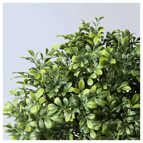 Искусственное растение в горшке ФЕЙКА, д/дома/улицы, самшит стебель (15 см) - схема-чертеж с размерами