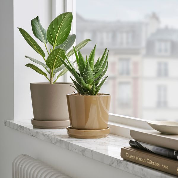 Горшок цветочный с поддоном, 12 см, для дома, улицы желто-коричневый IKEA CITRUSFRUKT 905.515.73 - фото 3