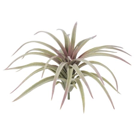 Искусственный аэрофит СМИККА, Тилландсия, зеленый (10 см)