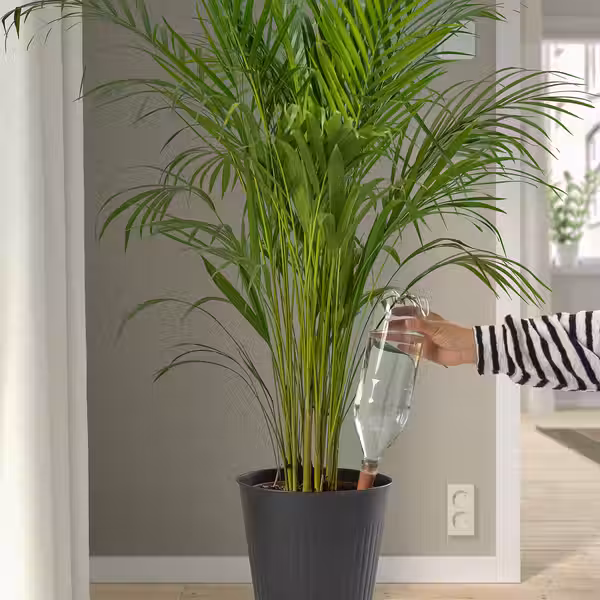 SVÄMSKOG СВЭМСКОГ Система самополива - терракота/прозрачный 70 сл - фото 4