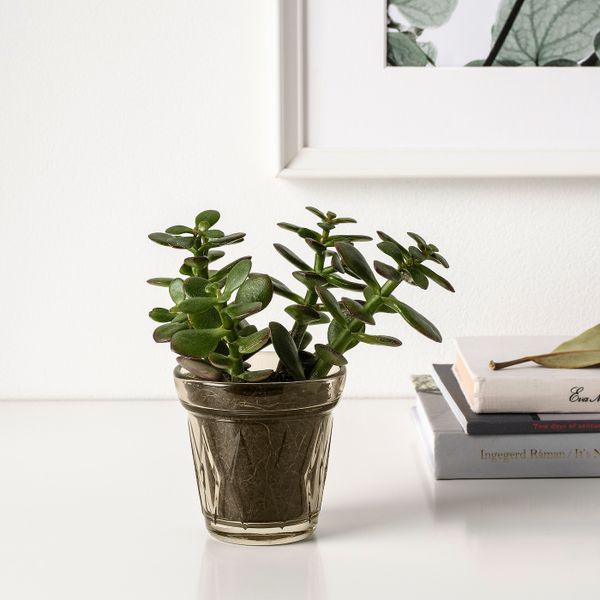 Ароматическая свеча в стакане, ревень бузина/бежевый 8 см IKEA VÄLDOFT ВЭЛЬДОФТ 604.423.02 - фото 5