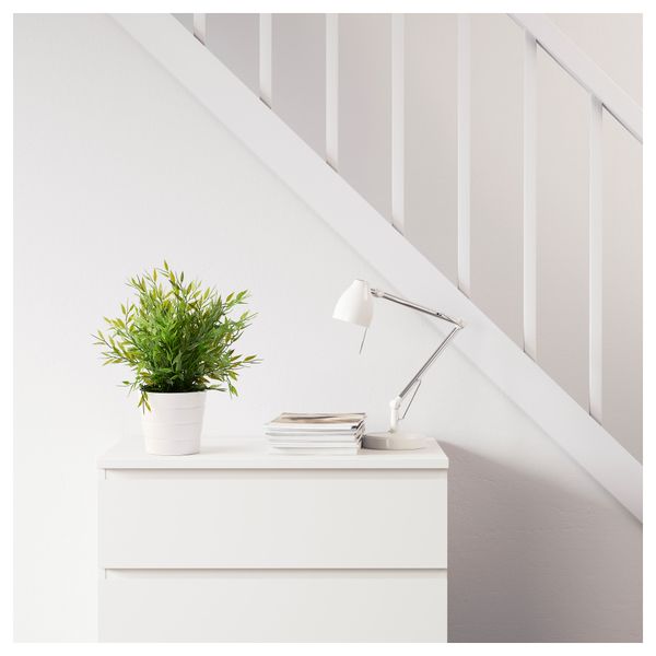 Искусственное растение в горшке ФЕЙКА, Комнатный бамбук (10 см) - фото 2