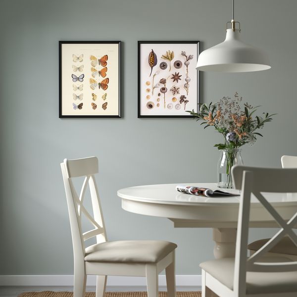 Постер, Коллекция бабочек и семян, 40x50 см IKEA DRÖMBILD ДРЁМБИЛЬД 705.835.70 - схема-чертеж с размерами