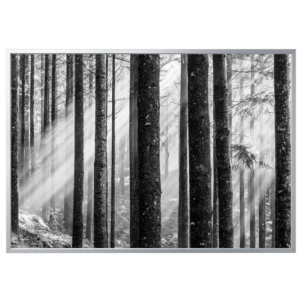 Картина с рамой, Солнечные лучи/цвет алюминия 200x140 см IKEA БЬЁРКСТА 492.978.82 - фото 1