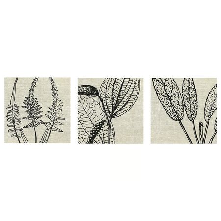 PJÄTTERYD Картина - цветочный принт 56x56 см