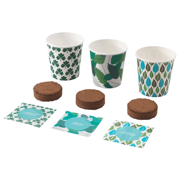 Набор для выращивания рассады ФРОЭР, травы кориандр петрушка, базилик мята перечная - фото 1