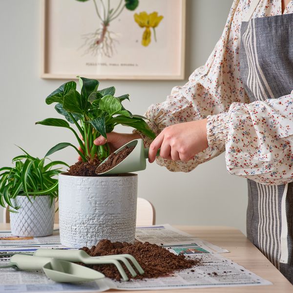 Набор садовых инструментов, 3 предмета, для дома, улицы светло-зеленый IKEA GRÄSMARÖ ГРЭСМАРО 905.360.02 - фото 4