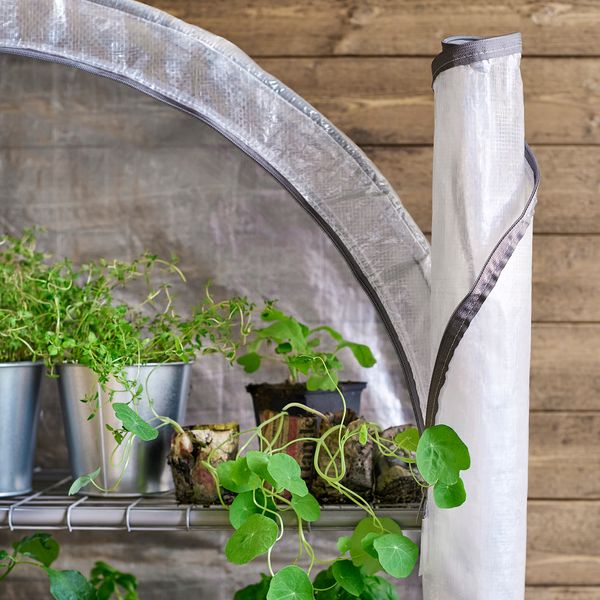 ASPAREN Теплица - прозрачный белый 95x32x162 см - фото 6