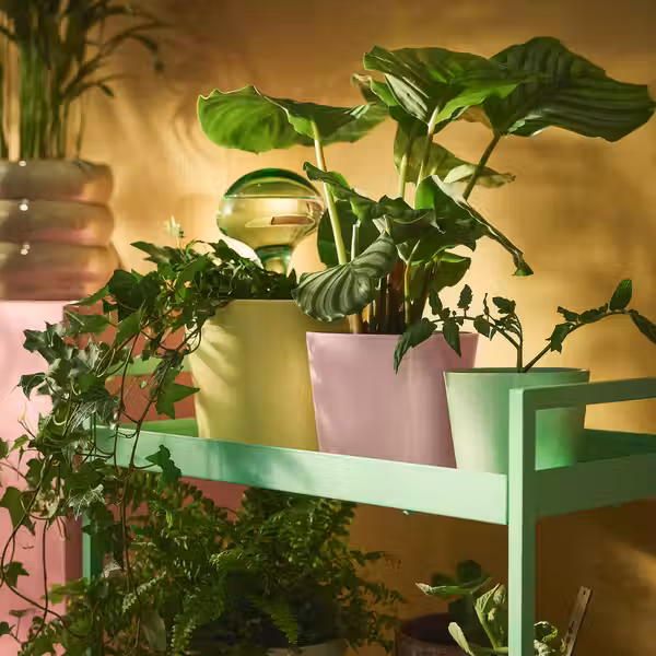 SOJABÖNA СОЙАБОНА Кашпо - светло-розовый 12 см - фото 2