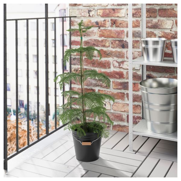 Ведро/горшок СОККЕР, д/дома/улицы, черный (10 л) - фото 2