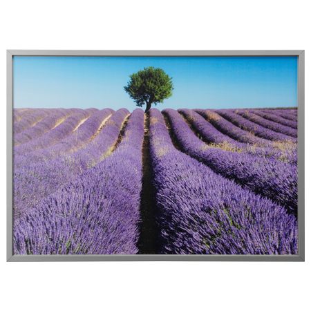 Картина с рамой БЬЁРКСТА, Поле лаванды, цвет алюминия (140x100 см)