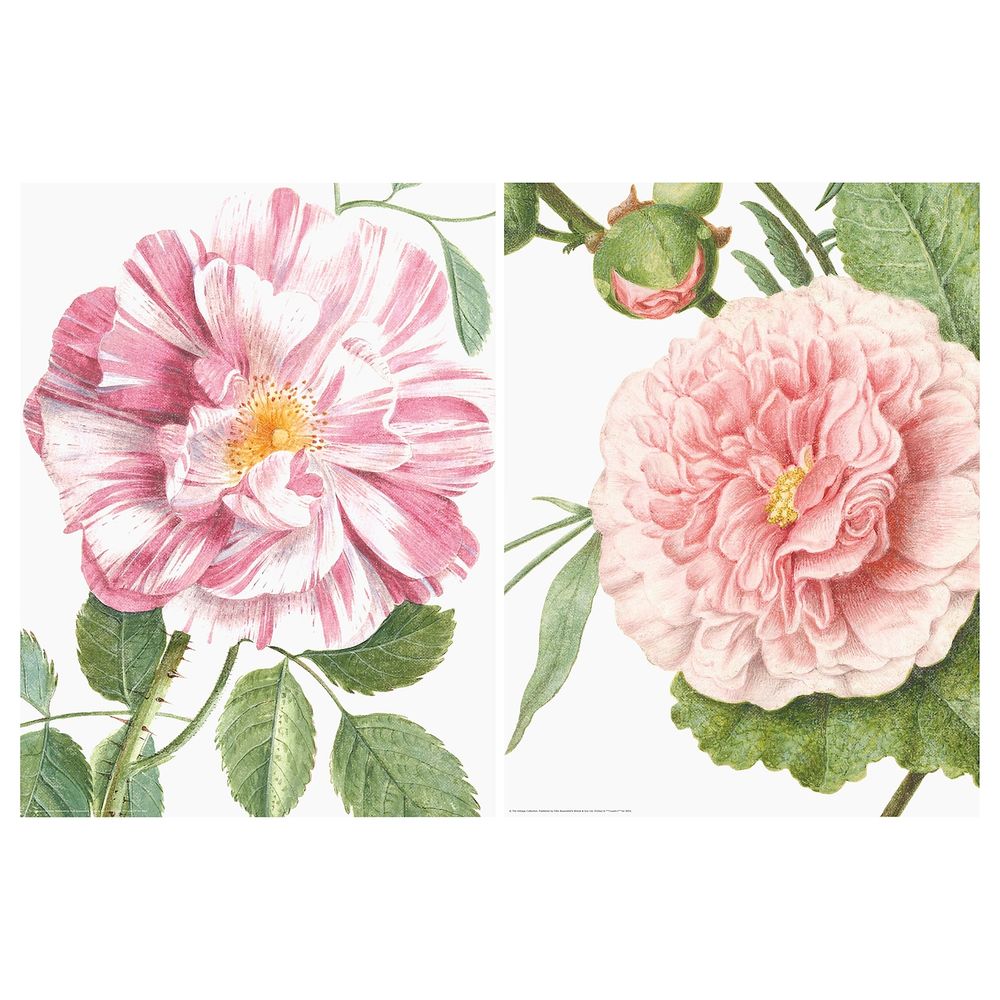 Набор постеров,2шт, Цветы 30x40 см IKEA EDELVIK ЭДЕЛВИК 004.901.50 - фото 1