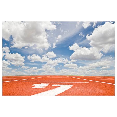 Картина, Беговая дорожка 118x78 см IKEA PJÄTTERYD ПЬЕТТЕРИД 704.953.14