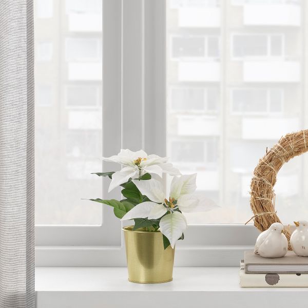 Искусственное растение в горшке, для дома, улицы/"Рождественская звезда" белый 9 см IKEA FEJKA ФЕЙКА 204.966.41 - фото 2