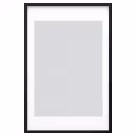 RÖDALM РЁДАЛЬМ Рама - чёрный 61x91 см