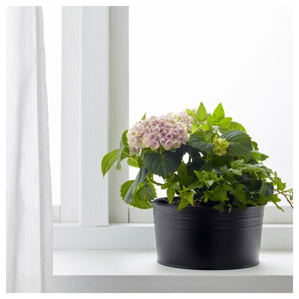 Миска СОККЕР, д/дома/улицы, черный (20 см) - фото 3