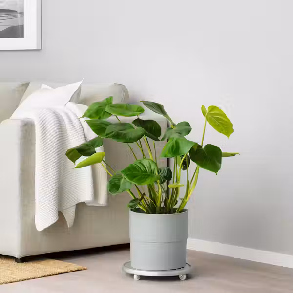 NYPON Кашпо - д/дома/улицы серый 24 см - фото 5