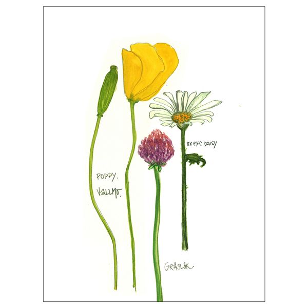 Постер, Цветы II, 30x40 см IKEA DRÖMBILD ДРЁМБИЛЬД 504.361.13 - фото 2