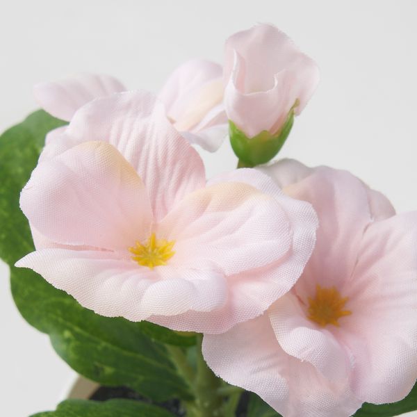 Искусственное растение в горшке,3 шт., 6 см, для дома, улицы желтый, розовый фиолетовый IKEA FEJKA ФЕЙКА 905.716.70 - фото 3