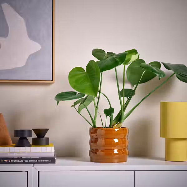 HASSELBUKETT ХАССЕЛБУКЕТТ Кашпо - д/дома/улицы/коричнево-желтый 12 см - фото 3