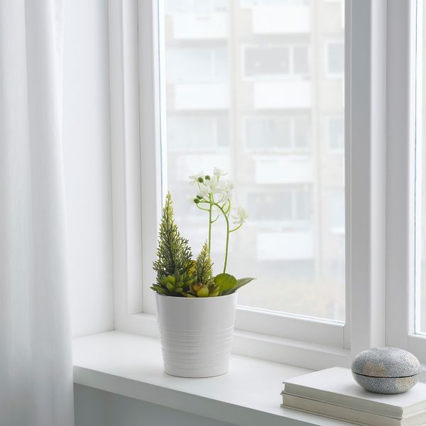 Искусственное растение в горшке, оформление, Орхидея белый, 12 см IKEA ВИНТЕРФЕСТ 604.391.54 - фото 2