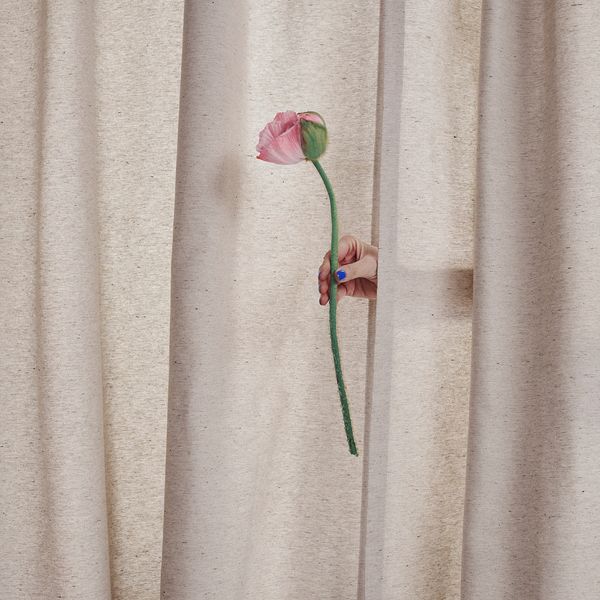 Чехол на подушку, 50x50 см, светло-зеленый IKEA STRANDMALÖRT 805.340.32 - схема-чертеж с размерами