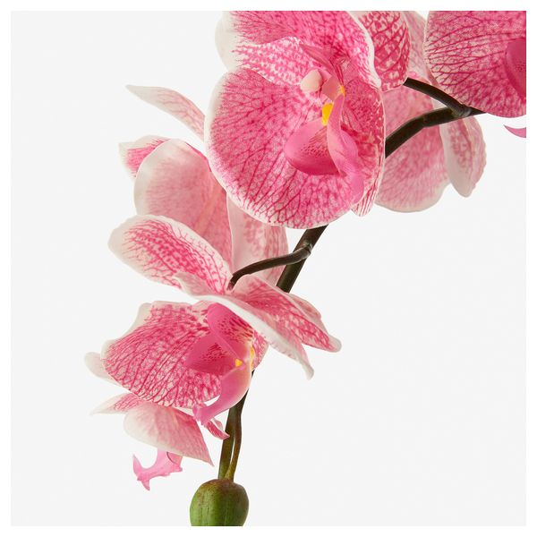 Искусственное растение в горшке ФЕЙКА, Орхидея розовый (12 см) - схема-чертеж с размерами