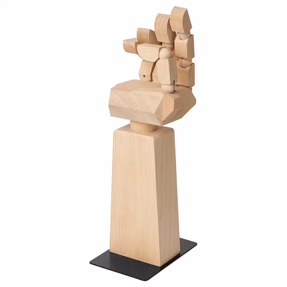 IKEA, вид спереди