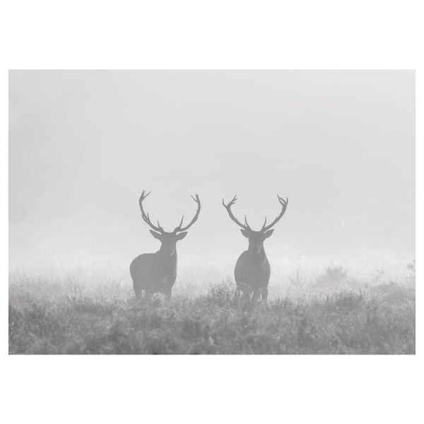 IKEA, вид спереди - схема-чертеж с размерами